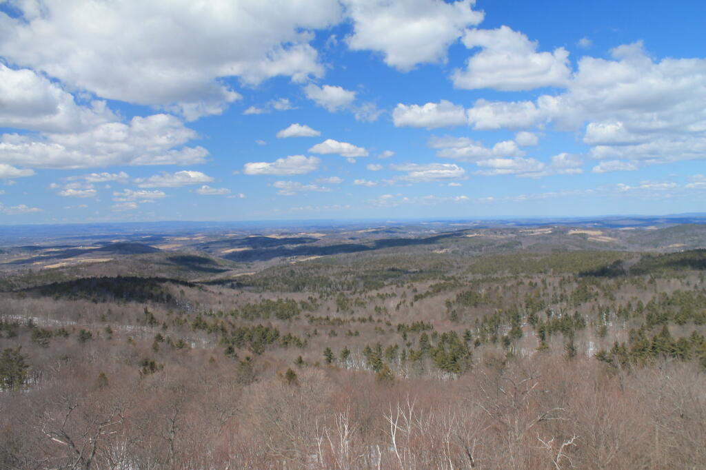 Photo: North East