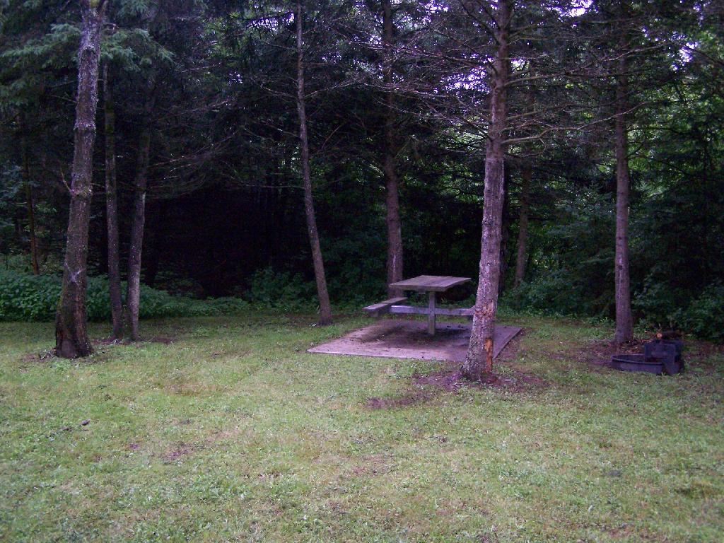 Photo: Site