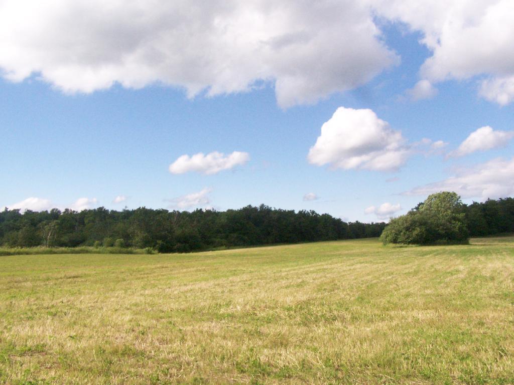 Photo: Clouds
