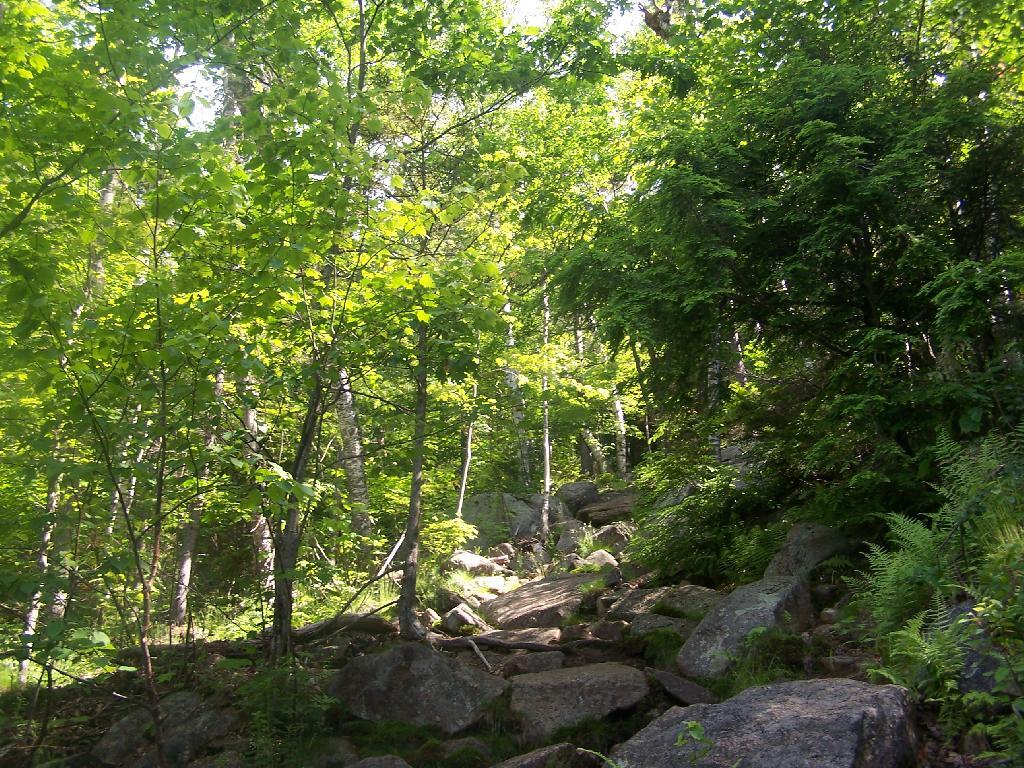 Photo: Up And Over Big Rocks