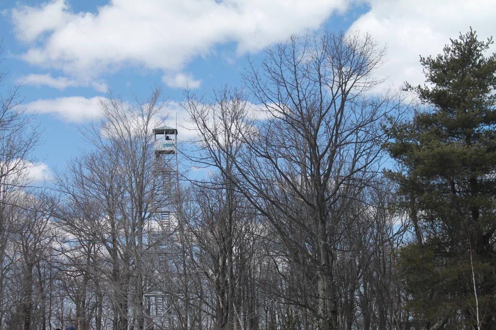 Photo: Firetower in the Background