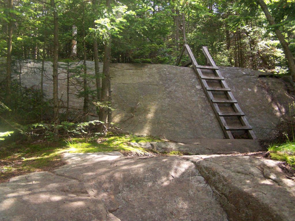 Photo: First Ladder