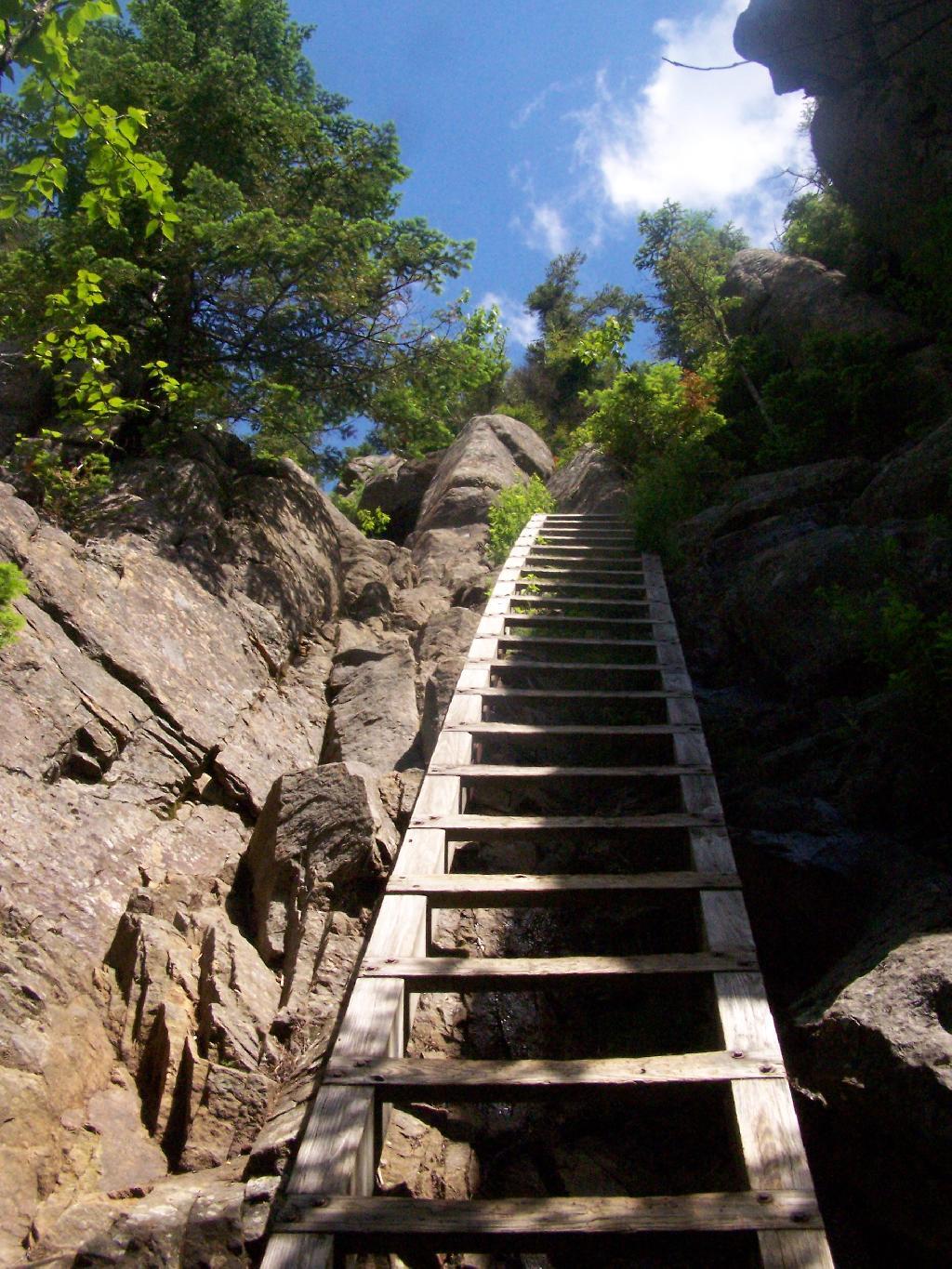 Photo: Second Ladder