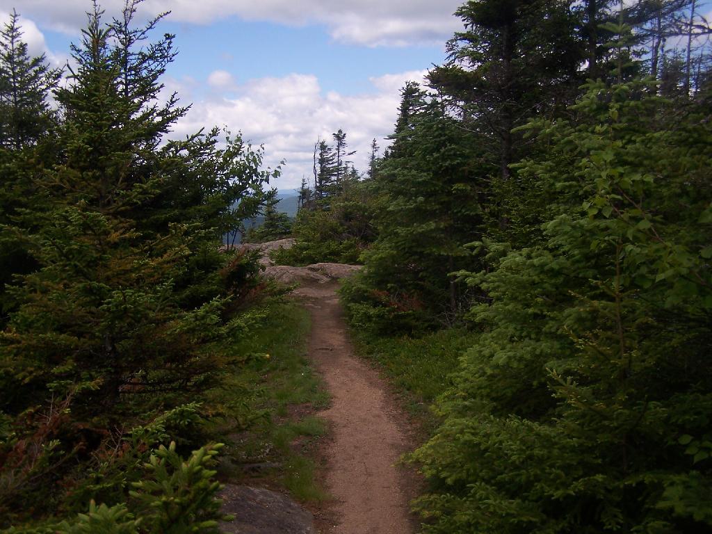 Photo: Further Down the Trail