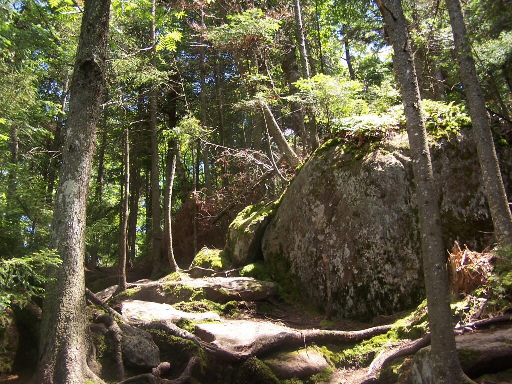 Photo: Trail Down