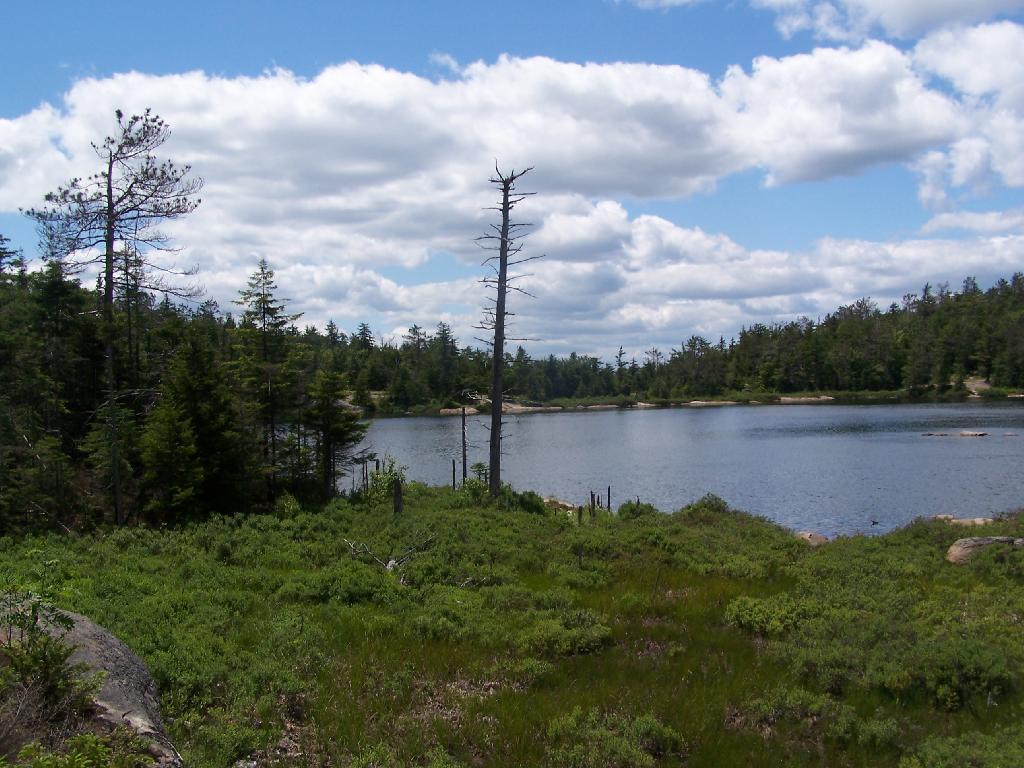 Photo: Crane Lake 85