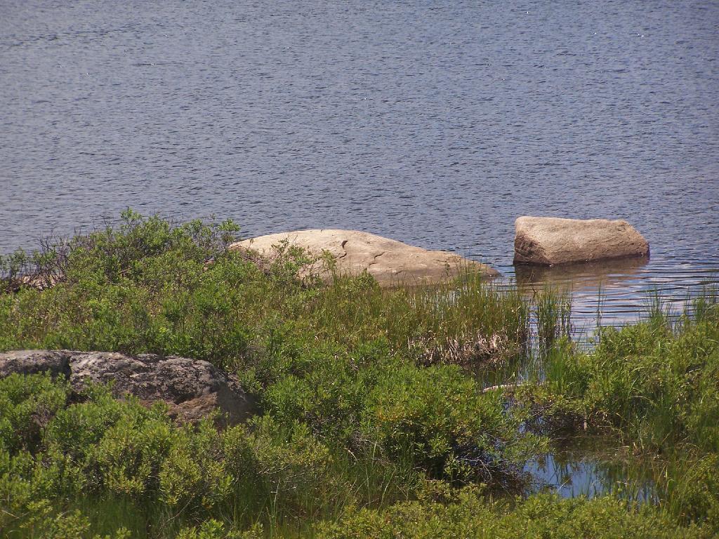 Photo: Crane Lake 89