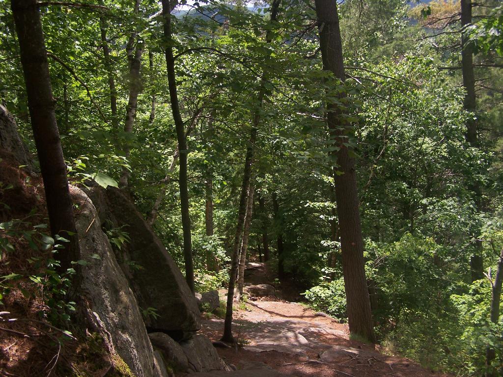 Photo: Steep Downhill Continues