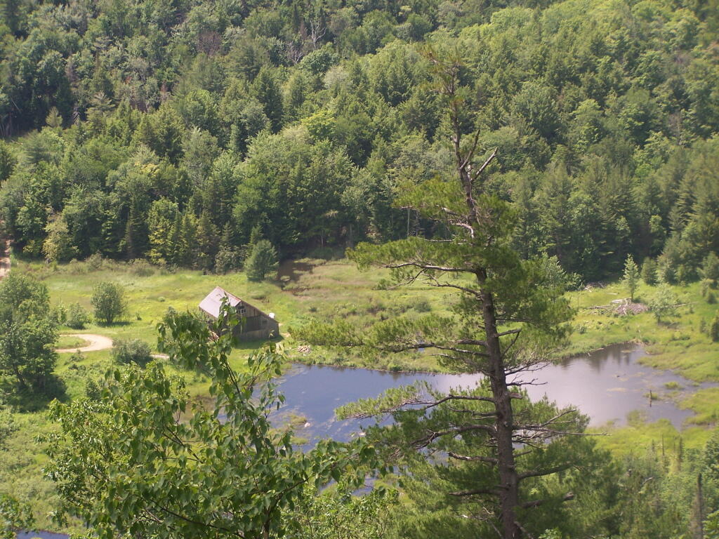 Photo: House By the Pond