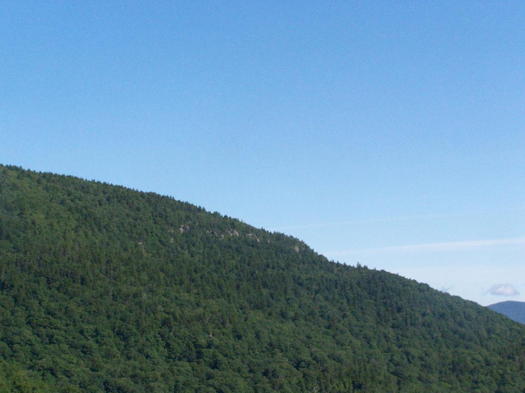 Photo: Cliff on Sugar Loaf