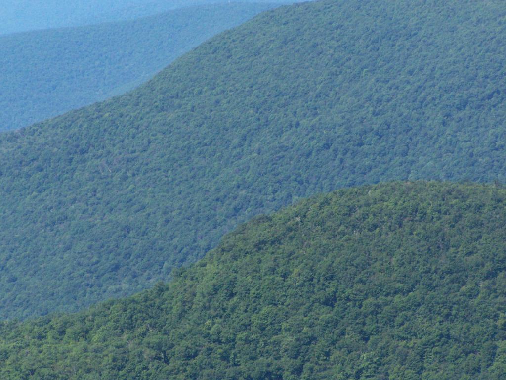 Photo: Ridges