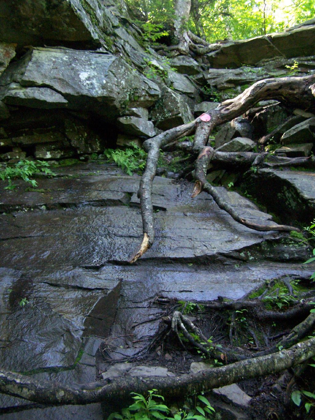 Photo: Right Up the Rock Face