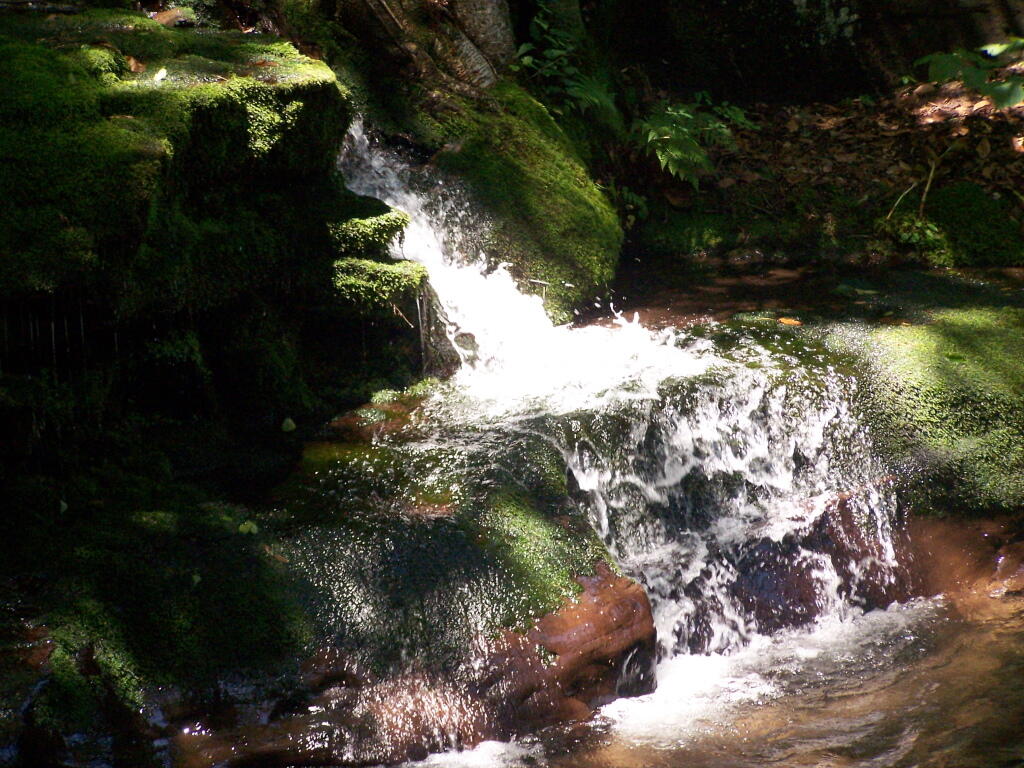 Photo: Waterfall