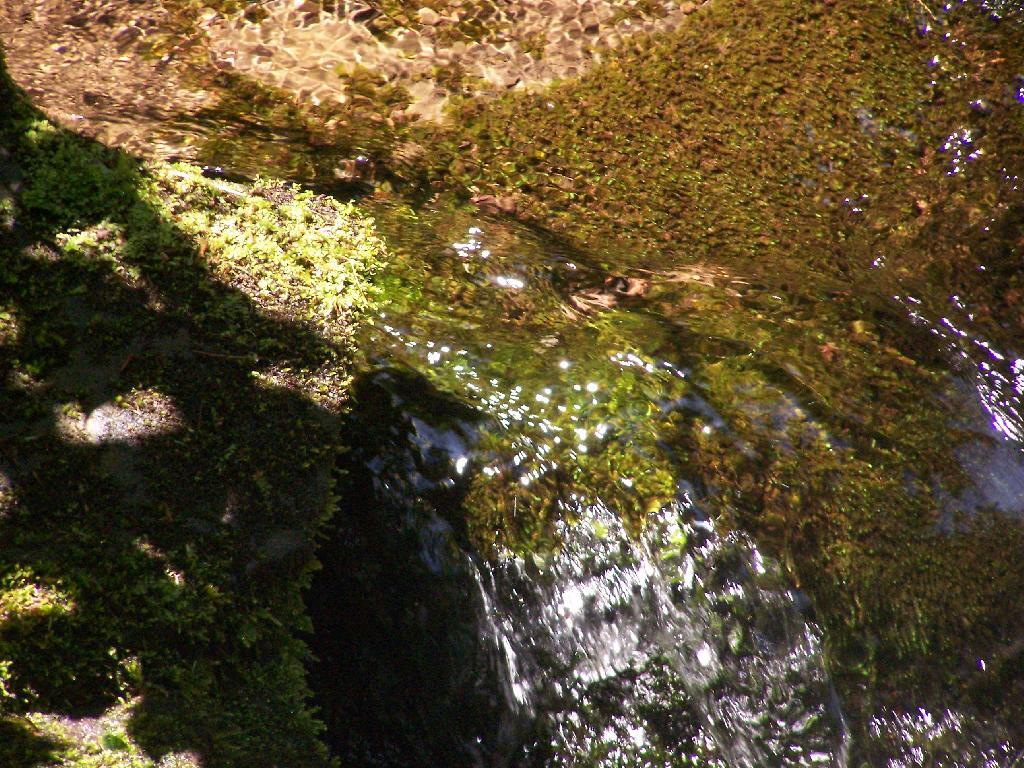 Photo: Water Over Rocks