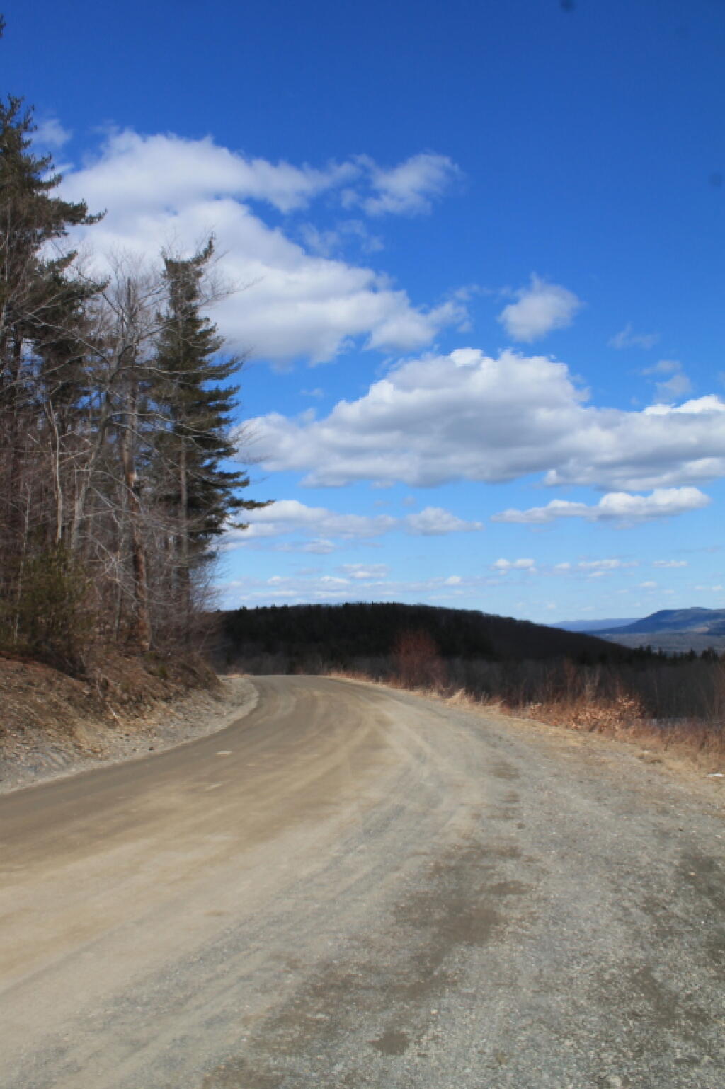 Photo: Bend in Harvey Mountain Road