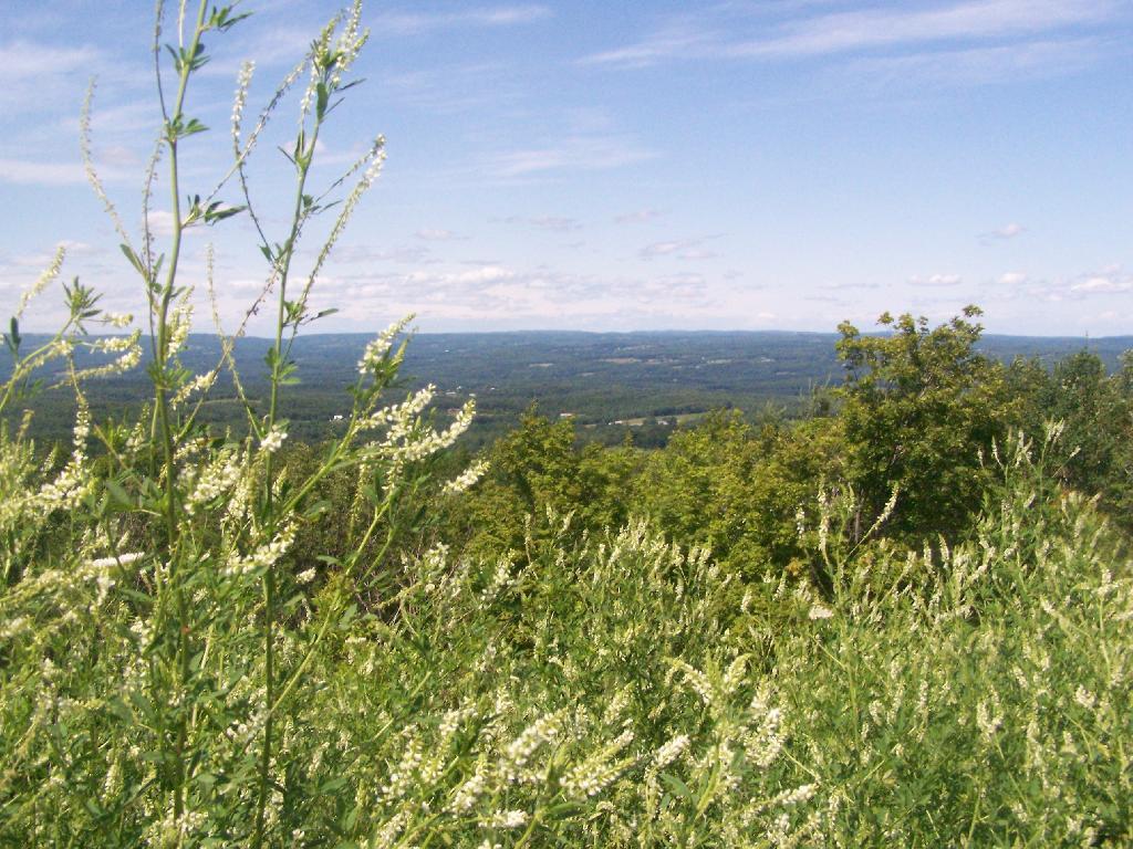 Photo: Landscape