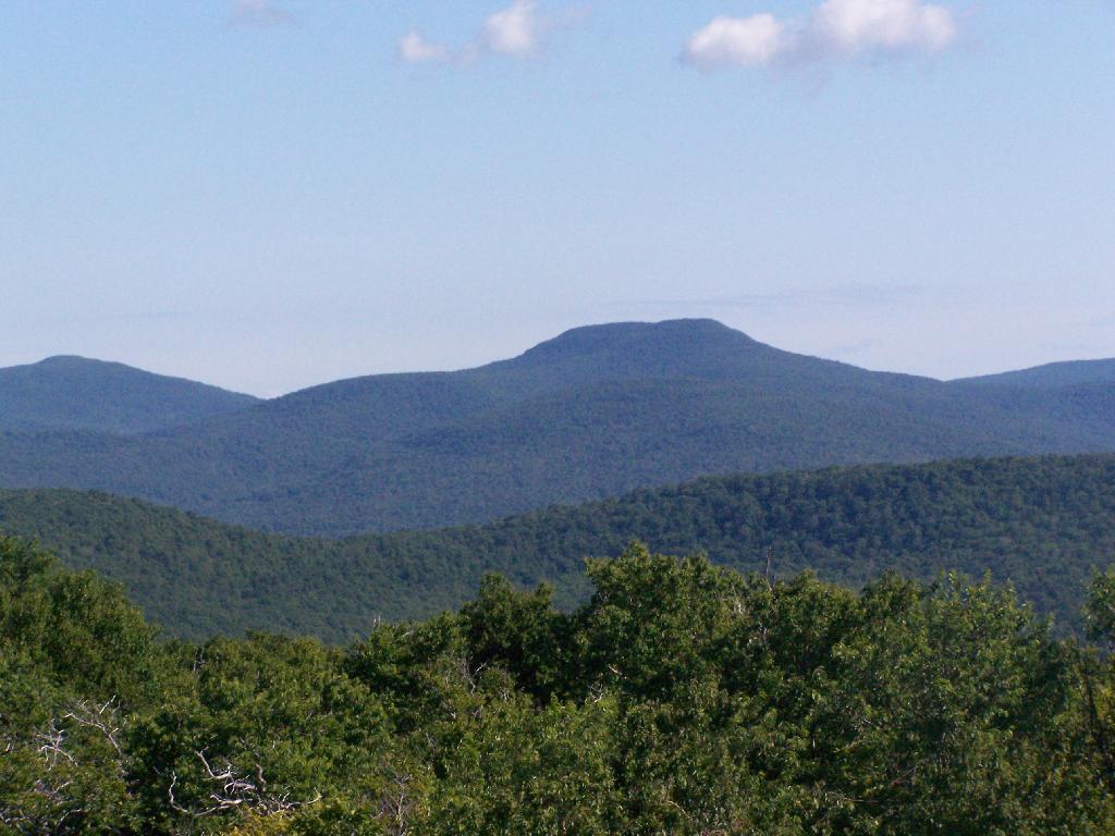 Photo: Doubletop Mountain