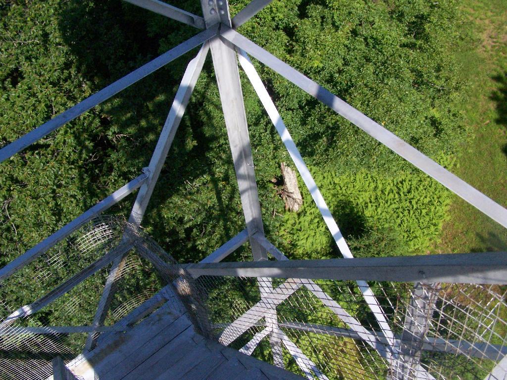 Photo: Looking Down