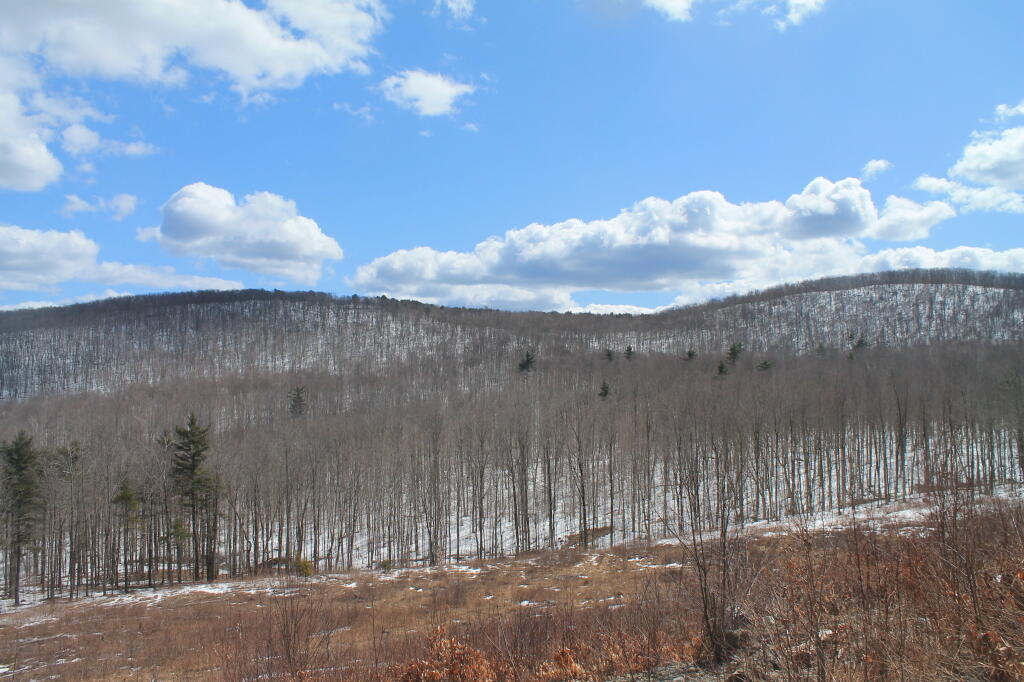 Photo: Harvey Mountain