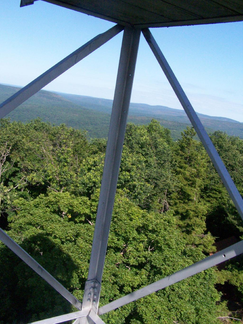 Photo: Thru Tower