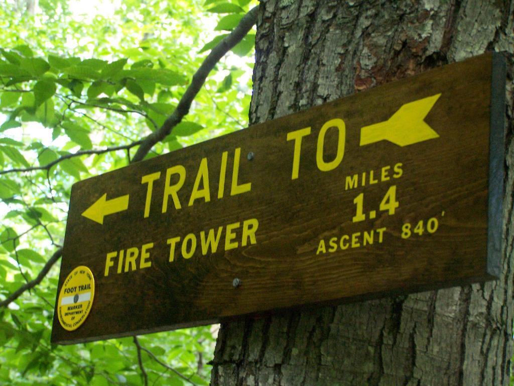Photo: 1.4 Miles to Firetower