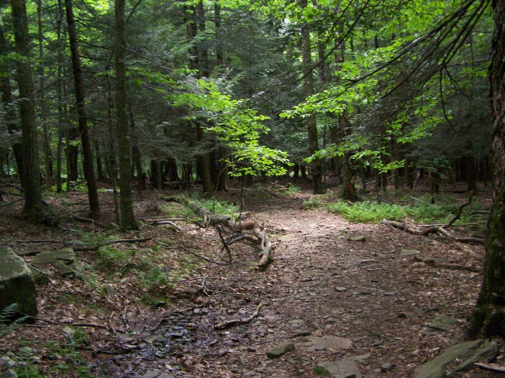 Photo: Getting A Little Steeper