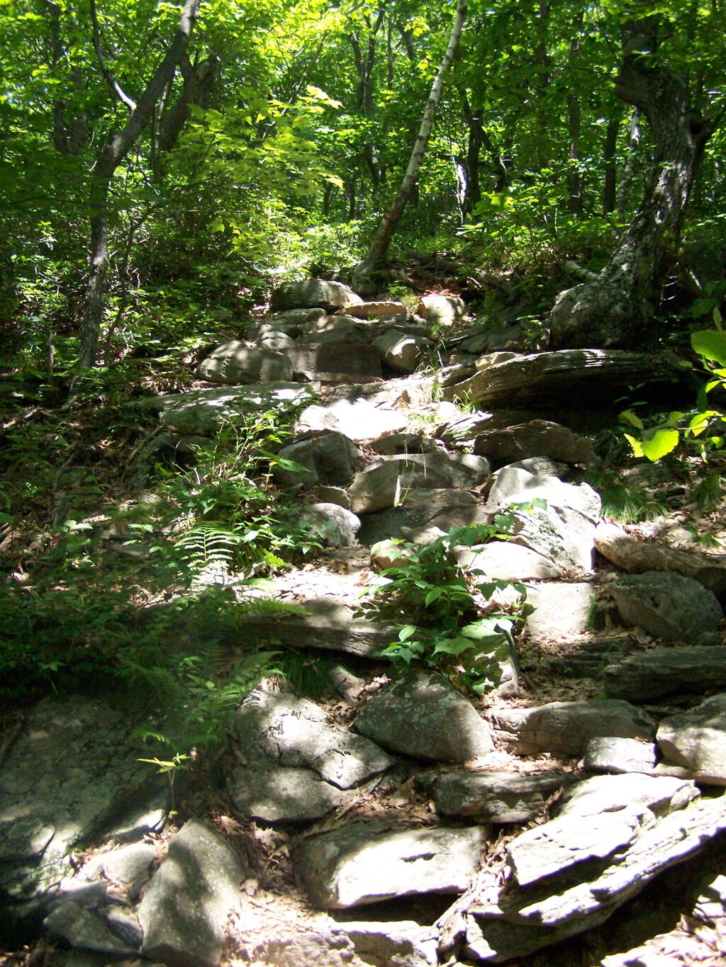 Photo: Steep Part of the Trail