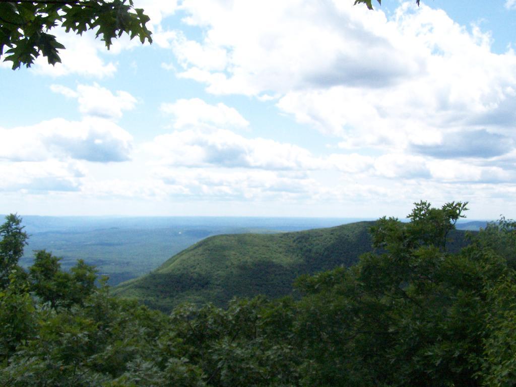 Photo: First Views