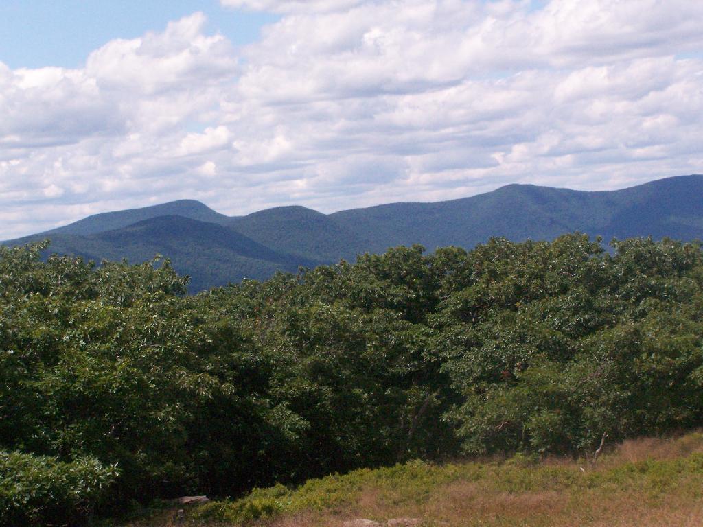 Photo: Catskill High Peaks