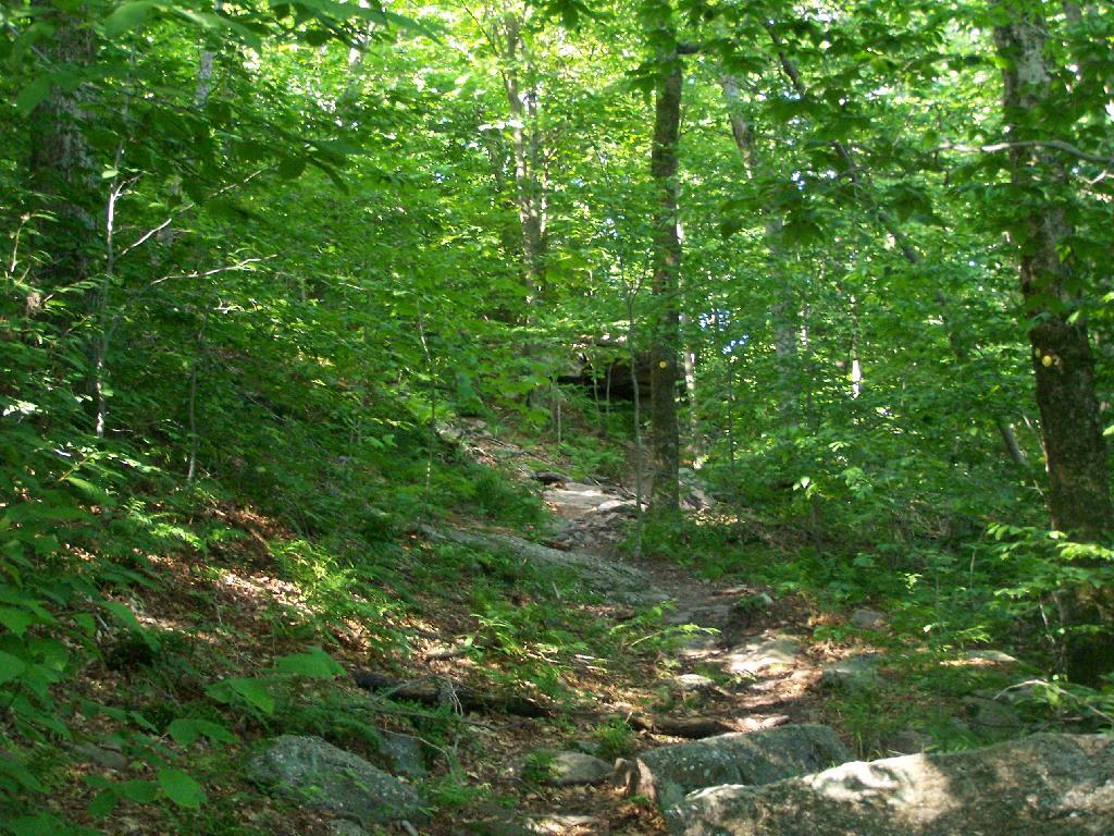 Photo: Steeper Trail