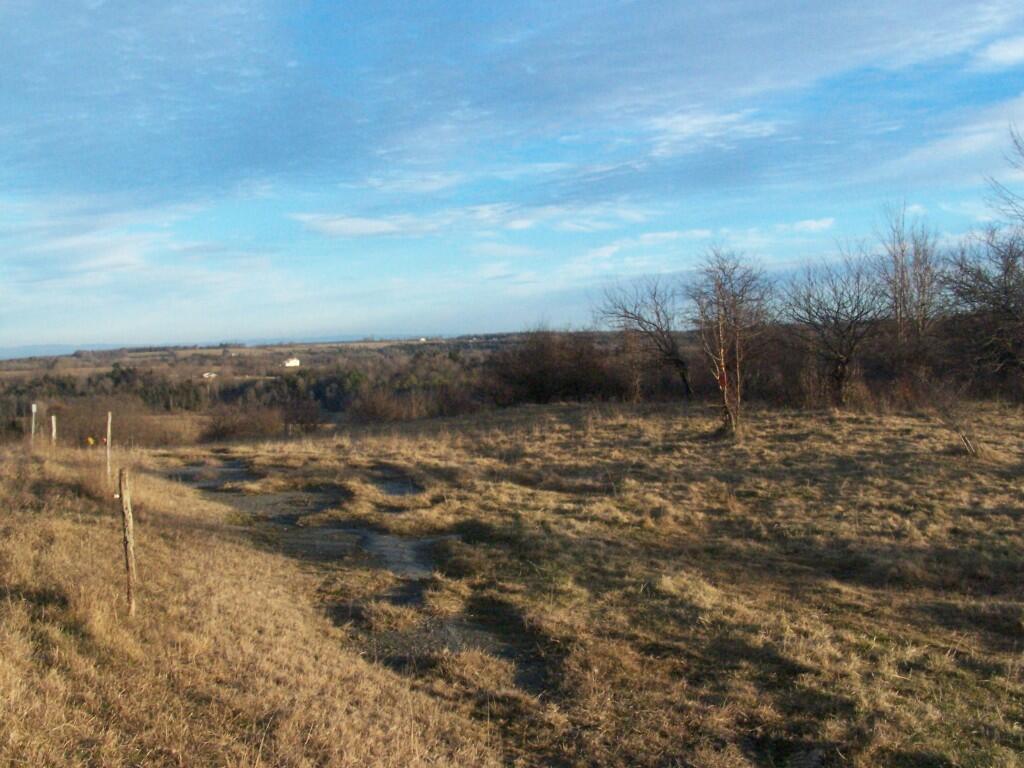 Photo: Pasture