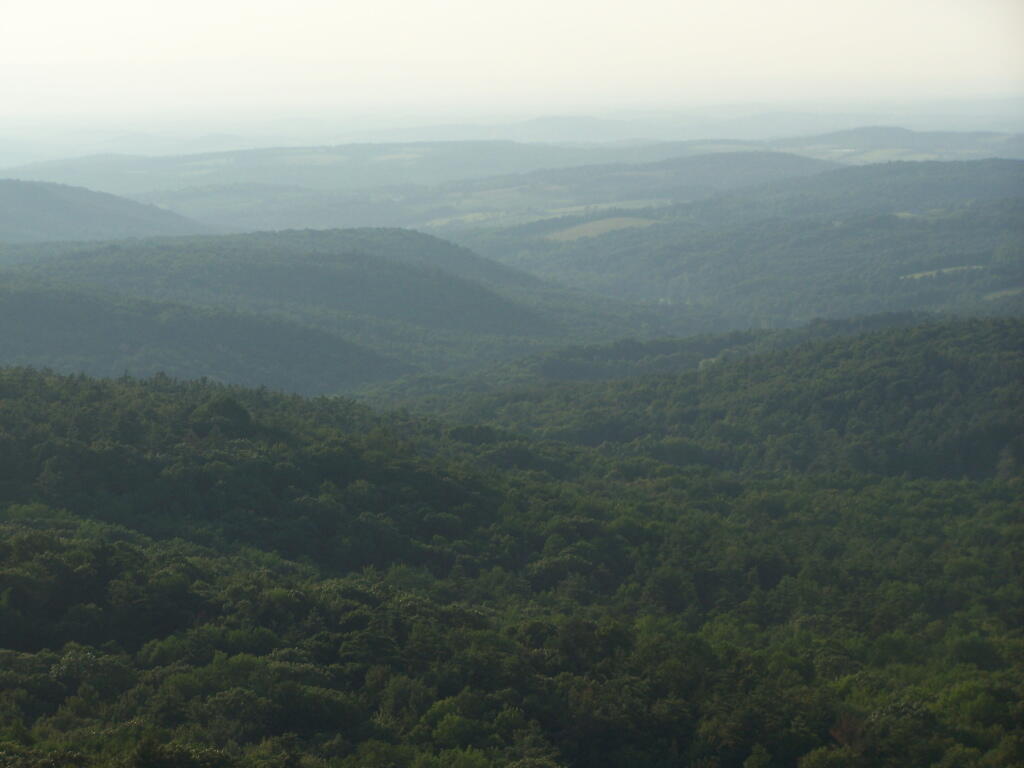Photo: Evening Haze
