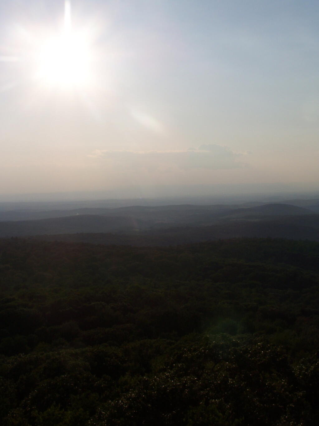 Photo: Setting Sun