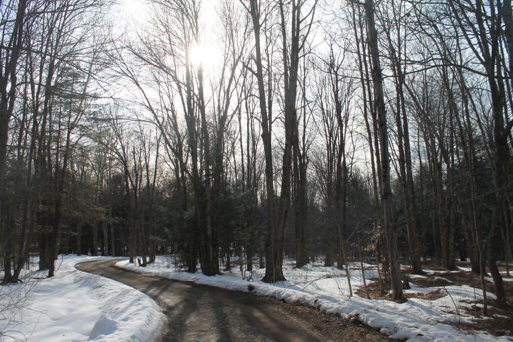 Photo: Bend in the Road