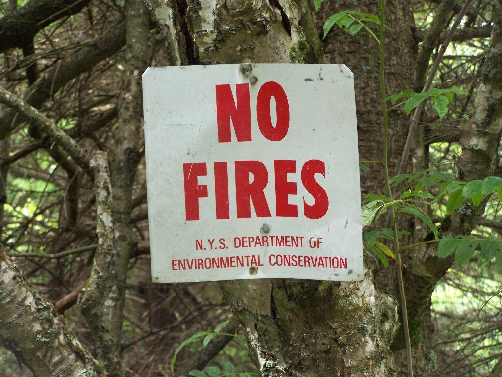 Photo: No Fires at Fire Tower
