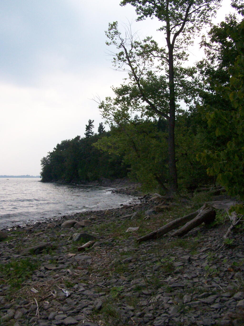 Photo: Along the Lake