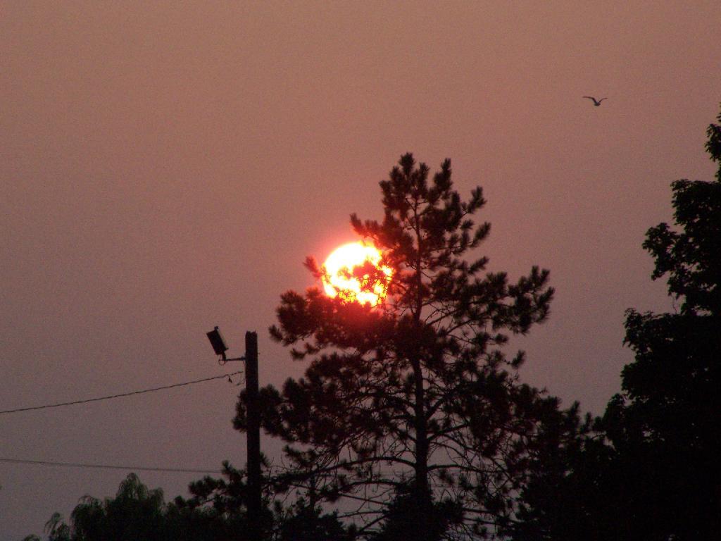 Photo: Setting Sun