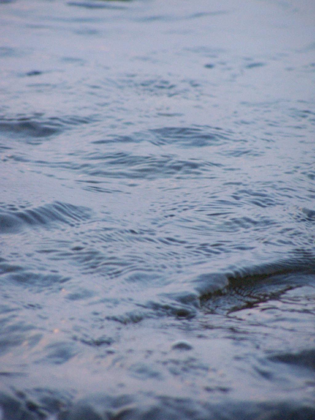Photo: Wet