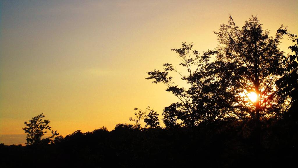 Photo: Setting Sun