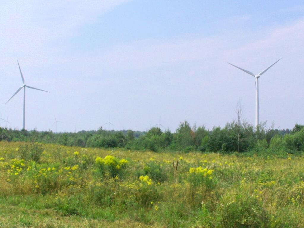 Photo: Wind Turbines