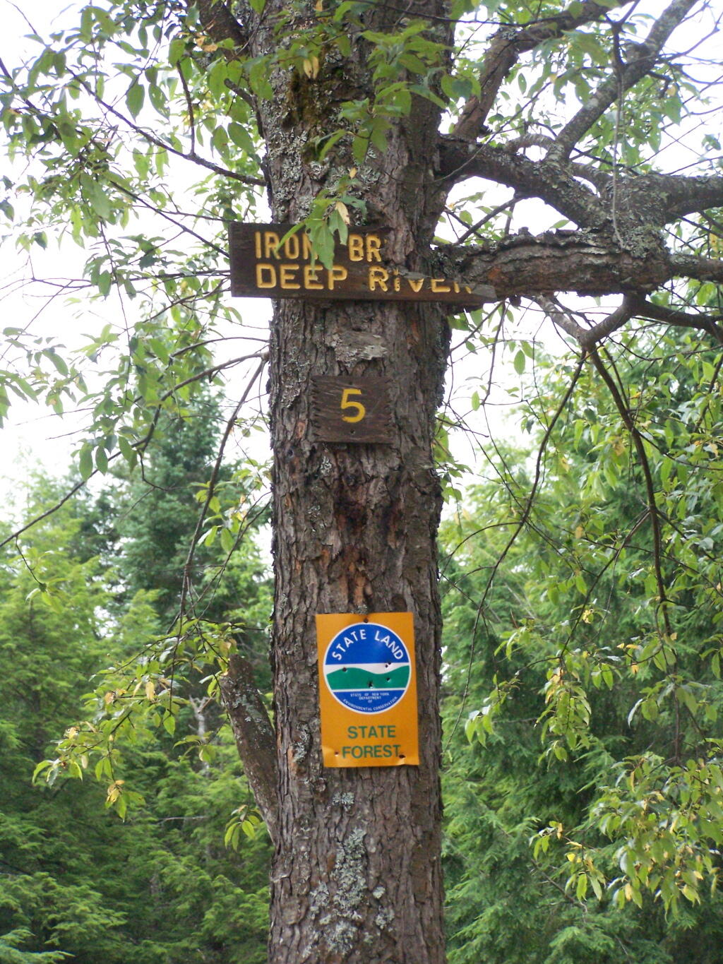 Photo: Site Name