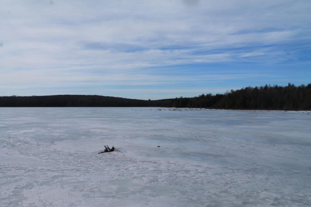 Photo: The Pond