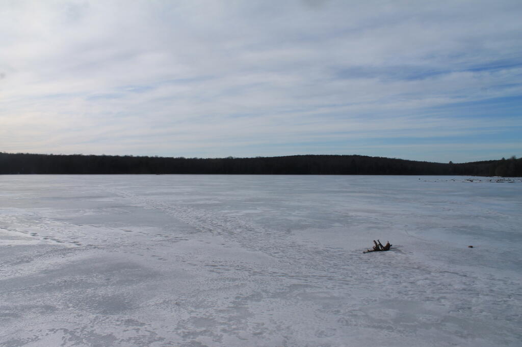 Photo: Ice