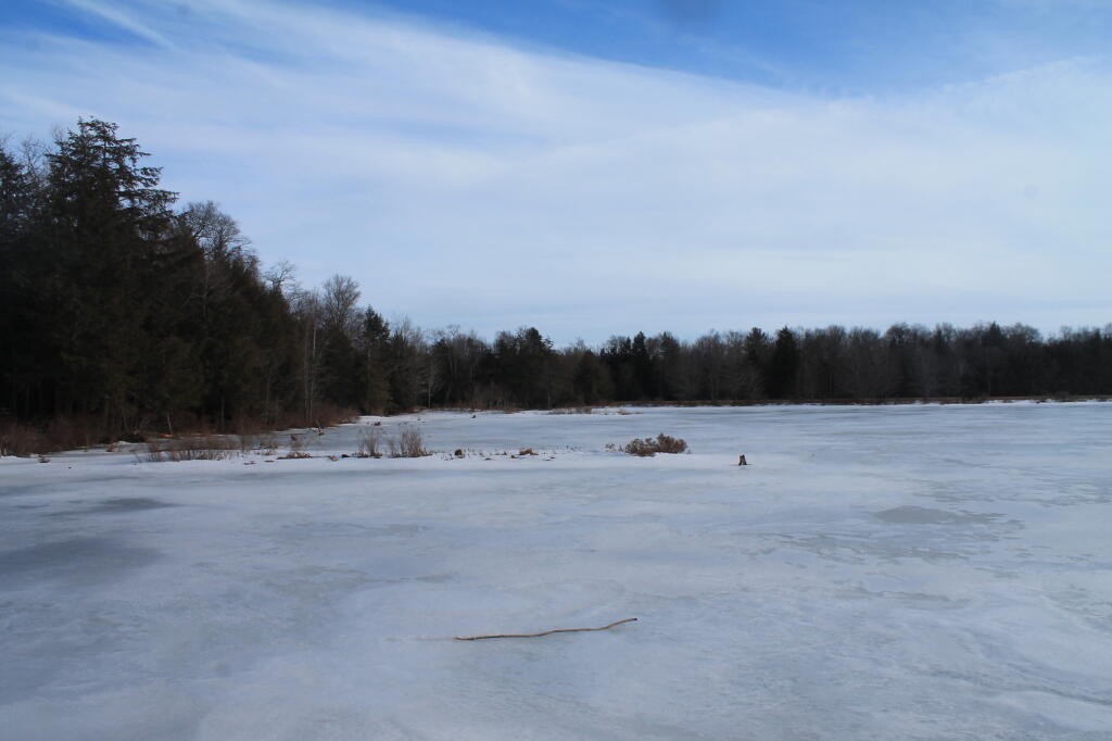 Photo: South