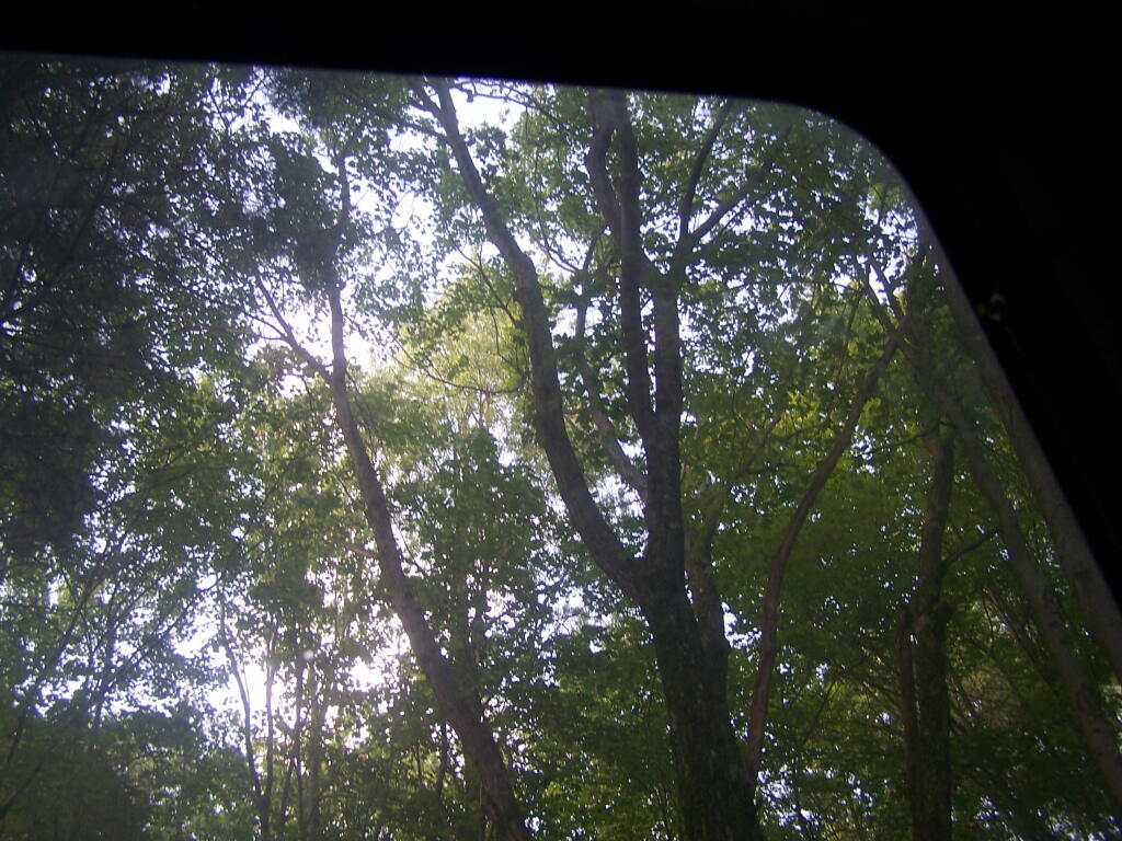 Photo: Thru Truck's Window