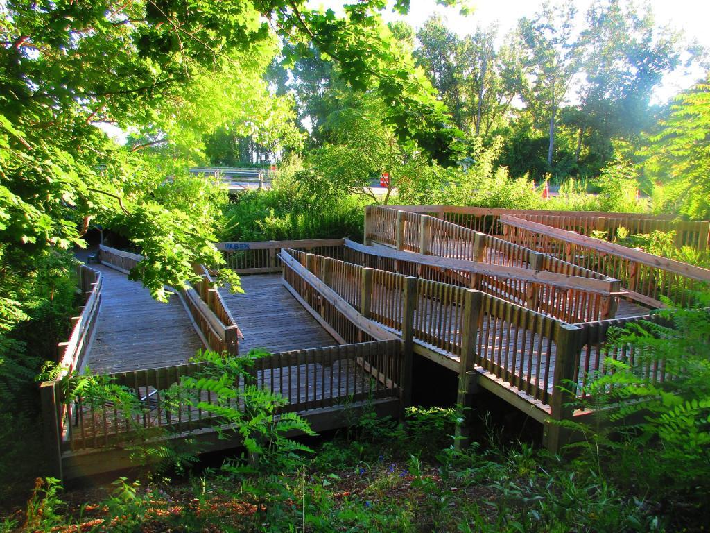 Photo: Crazy zig zag ramp on the Cayuga Seneca Cycleway