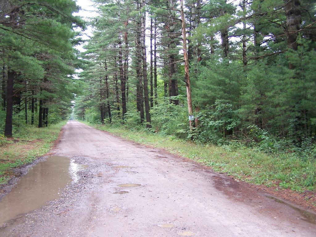 Photo: Road into Campsite