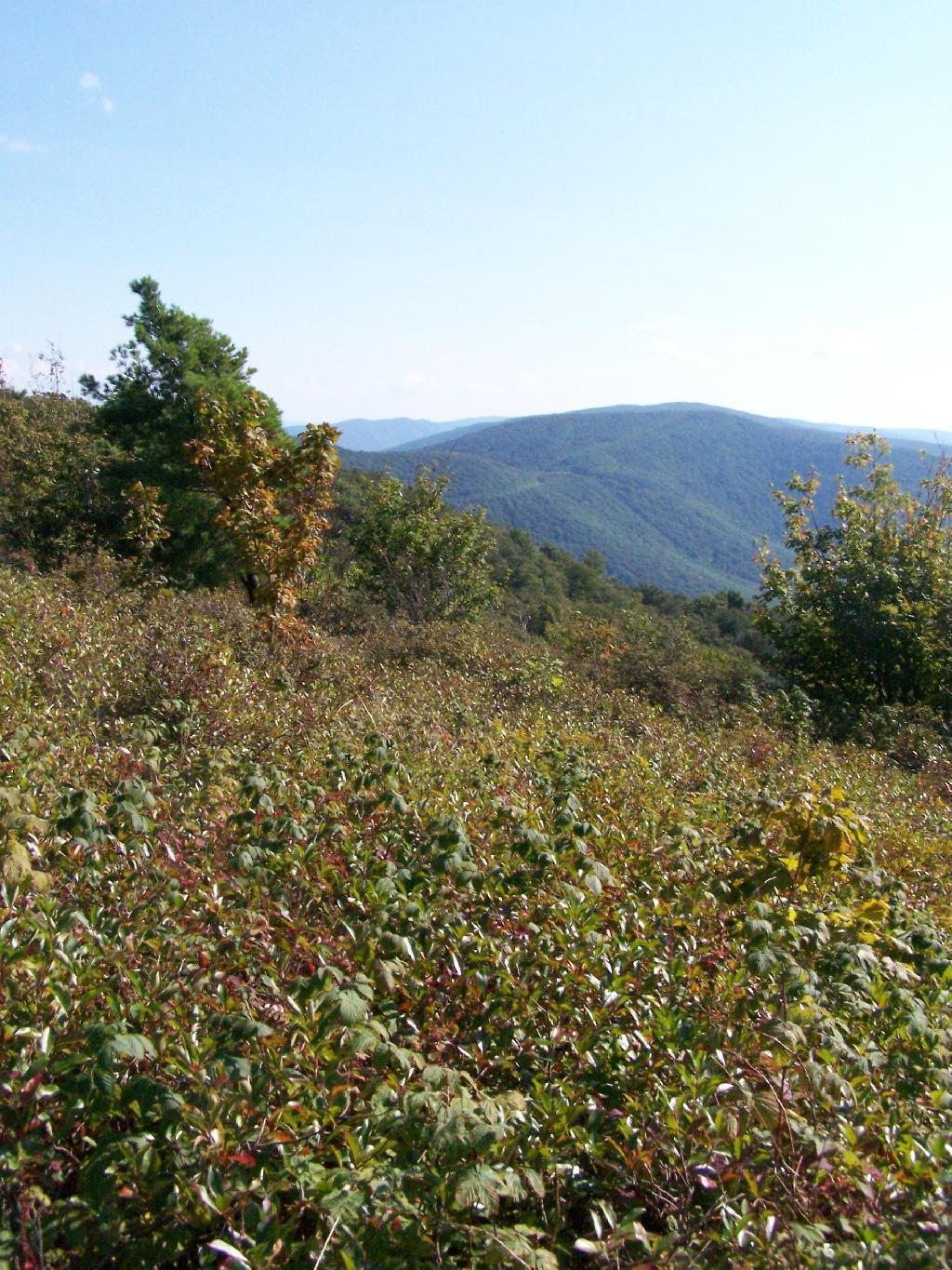 Photo: Mount Raimer