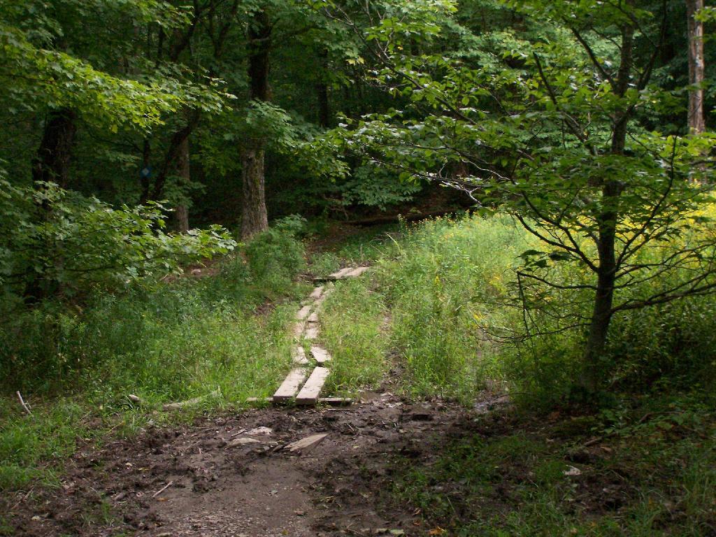 Photo: Muddy Area