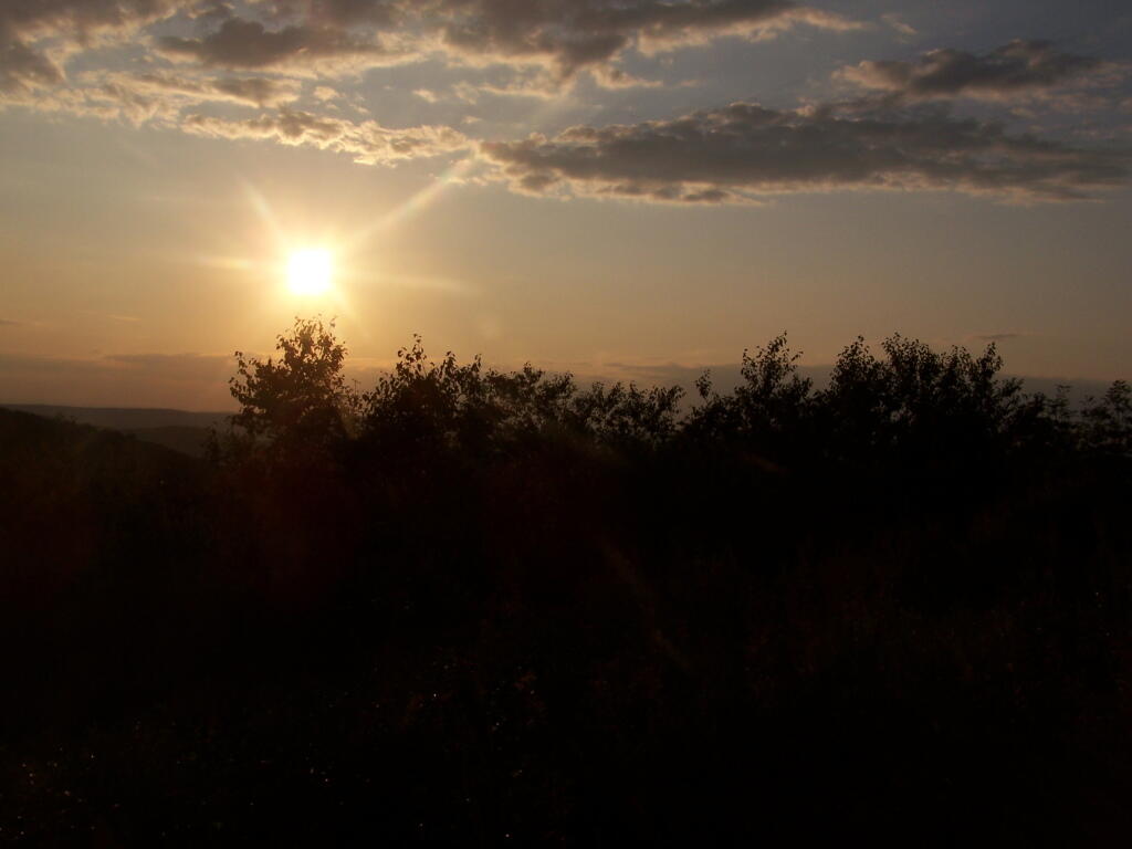 Photo: Setting Sun